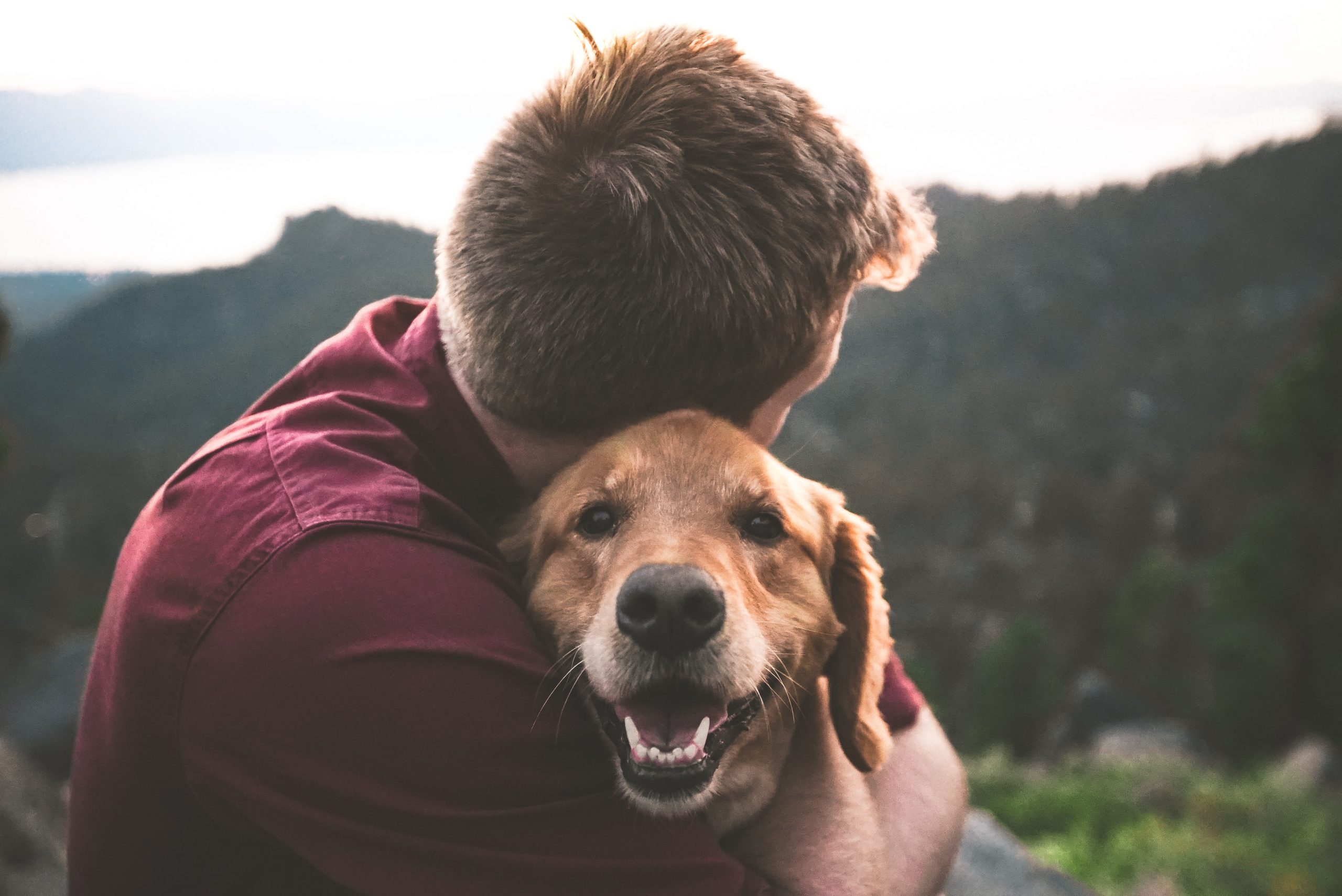 eric-ward-ISg37AI2A-s-unsplash-scaled