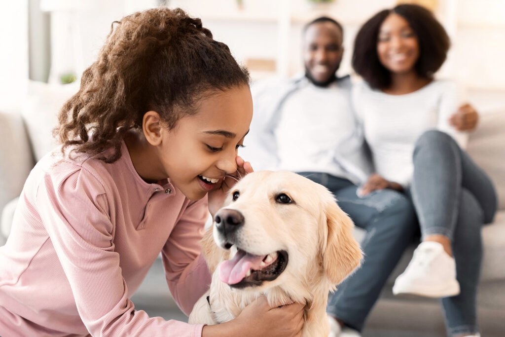 Dog Hearing Aids