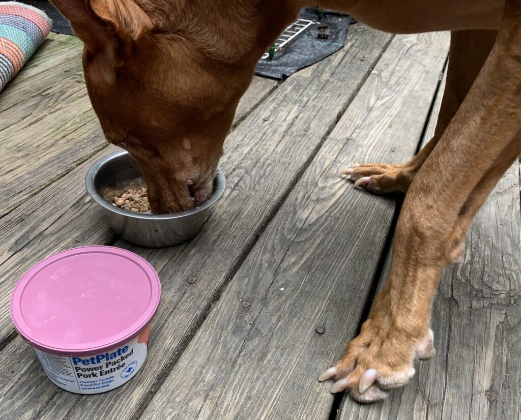 PetPlate