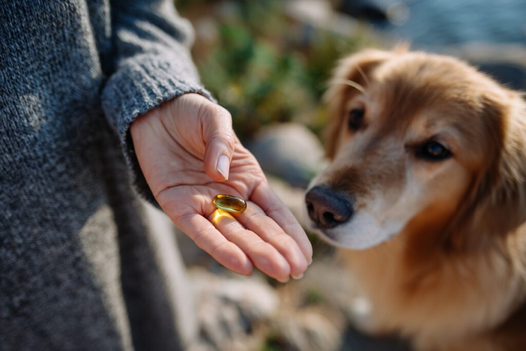 Is Salmon Oil Good for Dogs? Benefits, Dosage & Best Brands