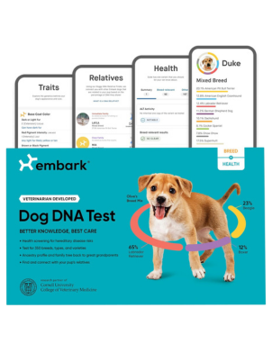 Embark Breed & Health Kit - Dog DNA Test